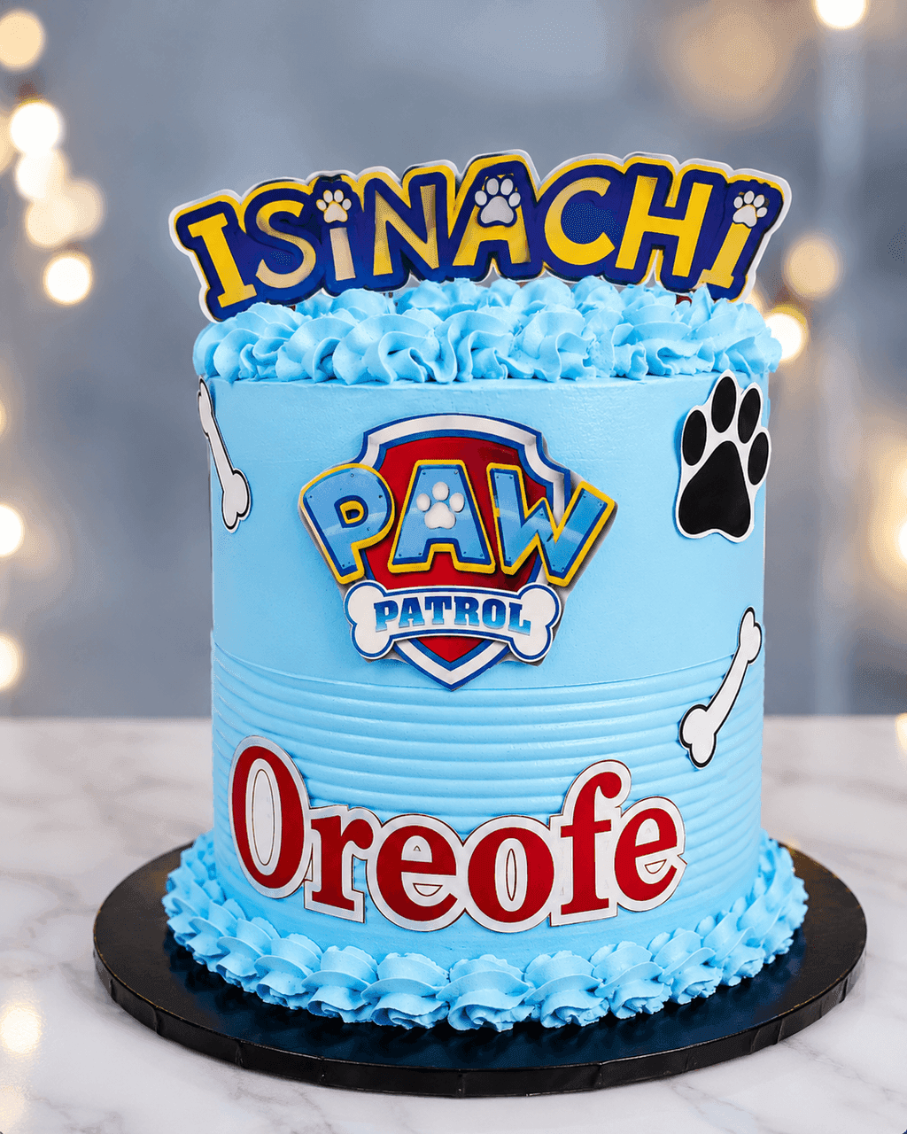 Paw Patrol Pup Blue